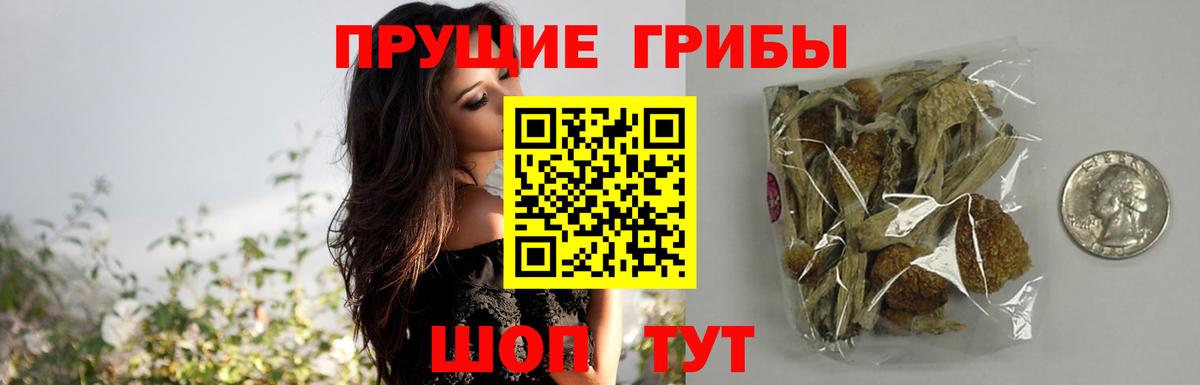Мелеуз  Псилоцибиновые грибы ЛСД  где купить наркотик  Вход с VPN 